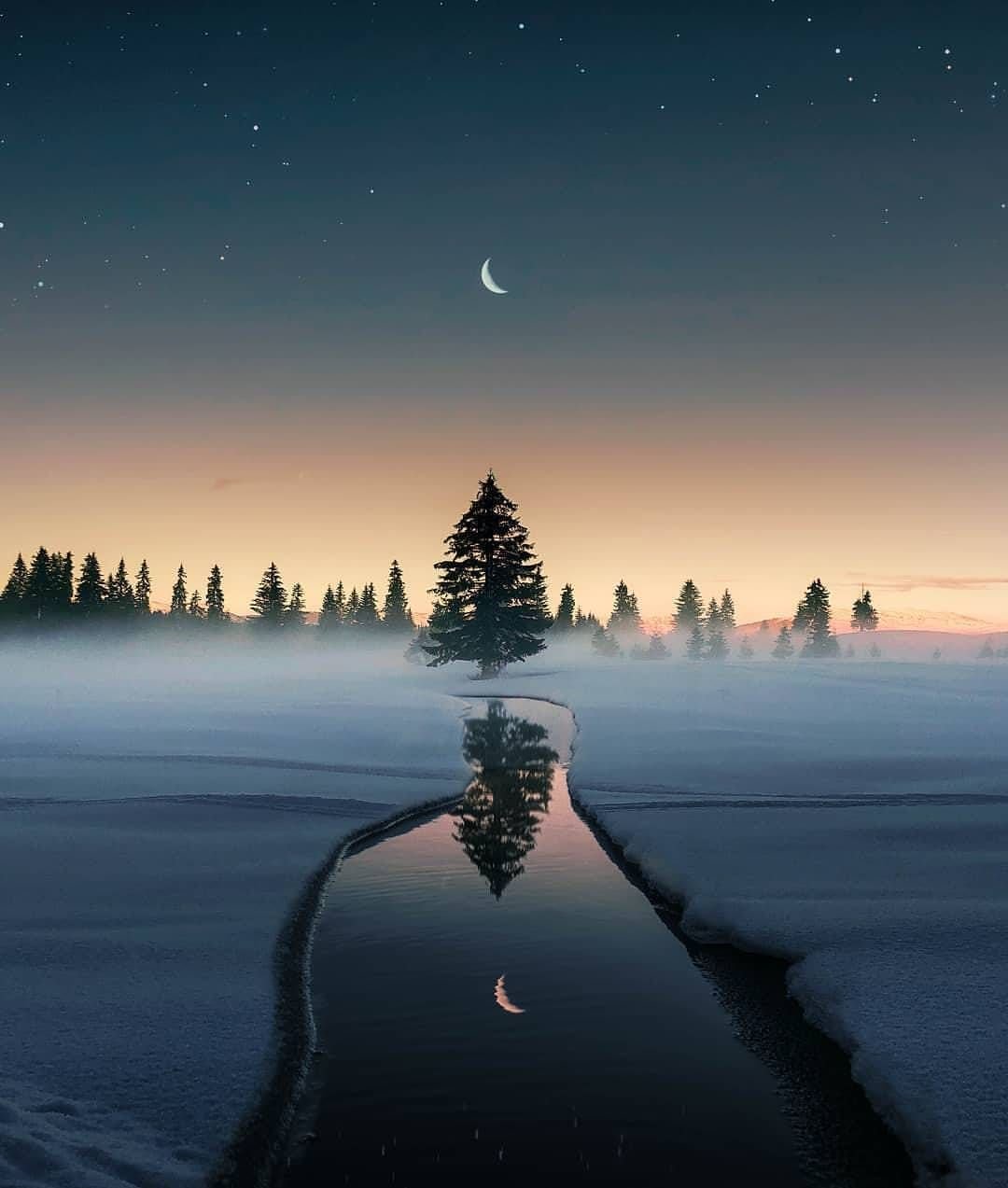 Спокойной зимней ночи