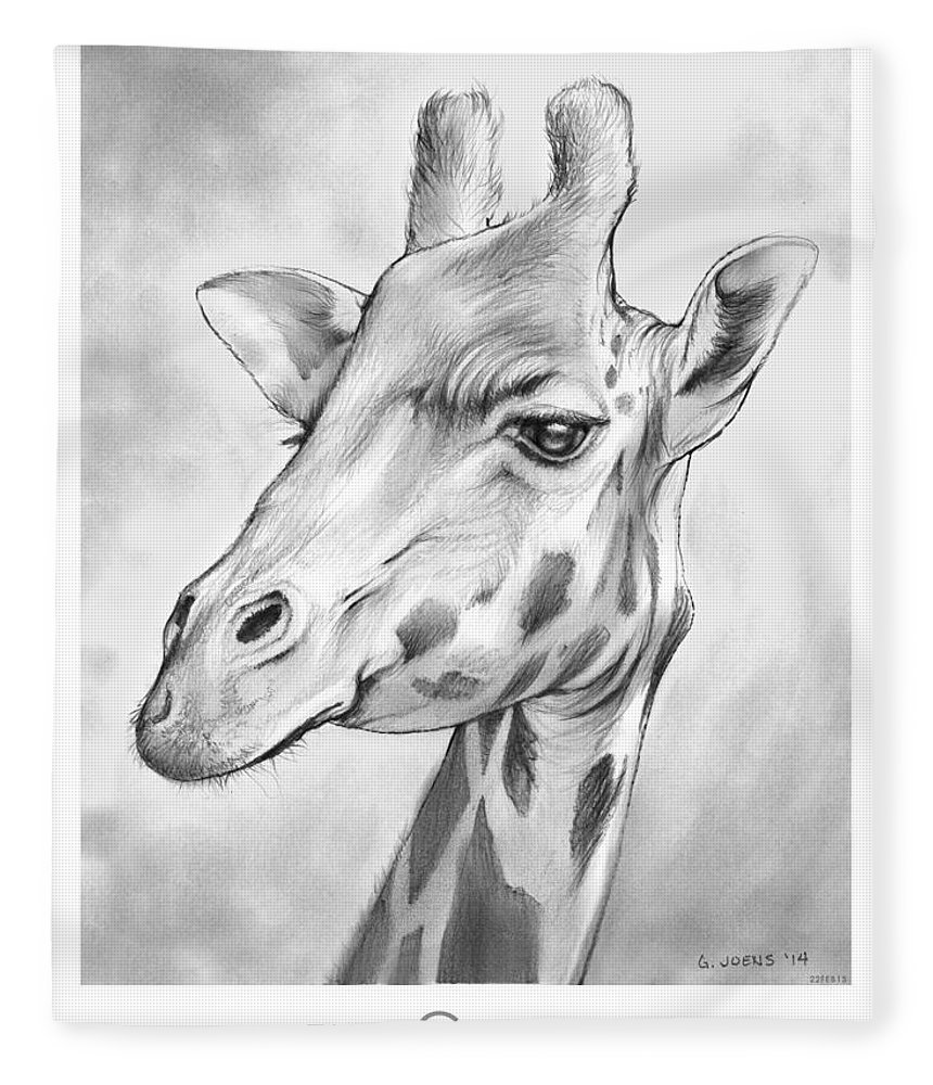 Жираф рисунок