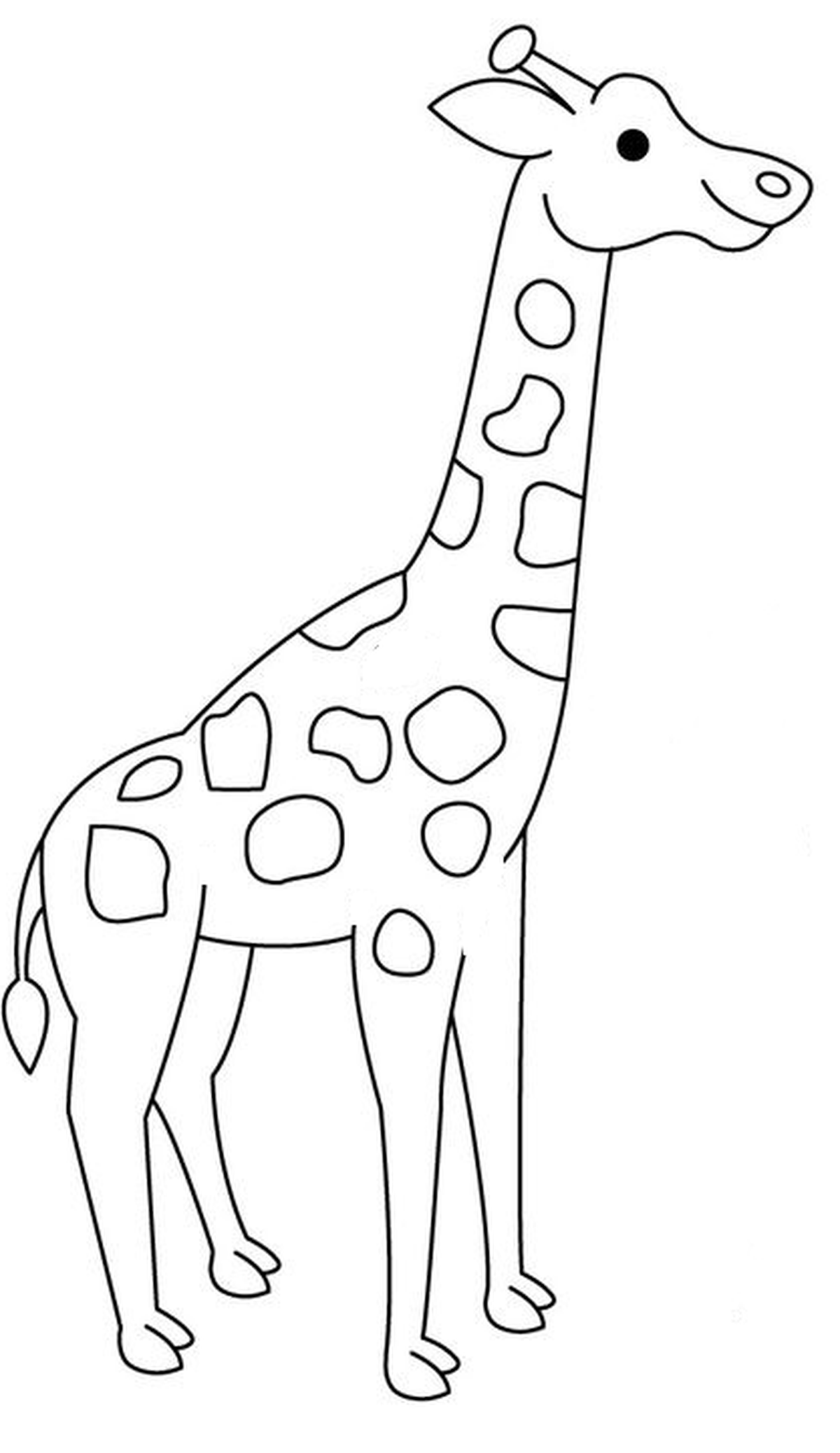 Разноцветный Жираф