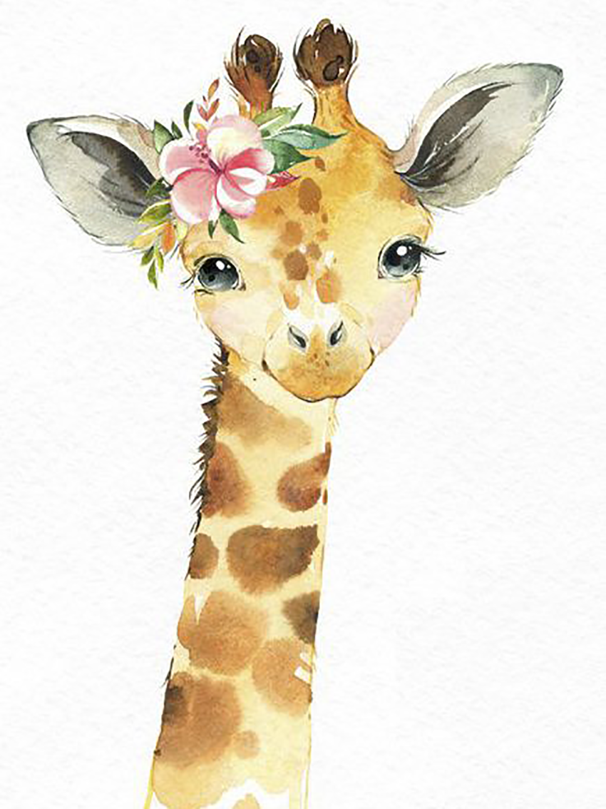 Жираф рисунок