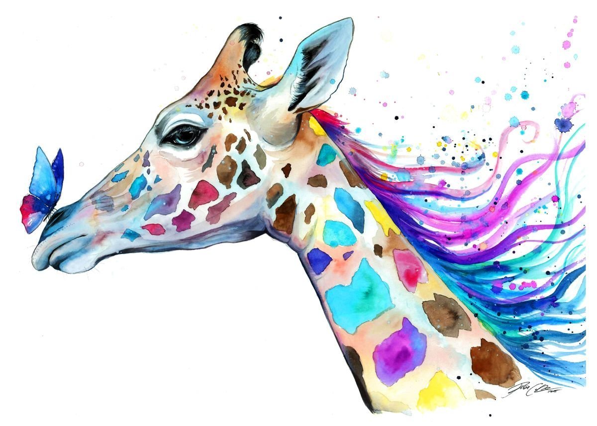 Жираф рисунок для срисовки