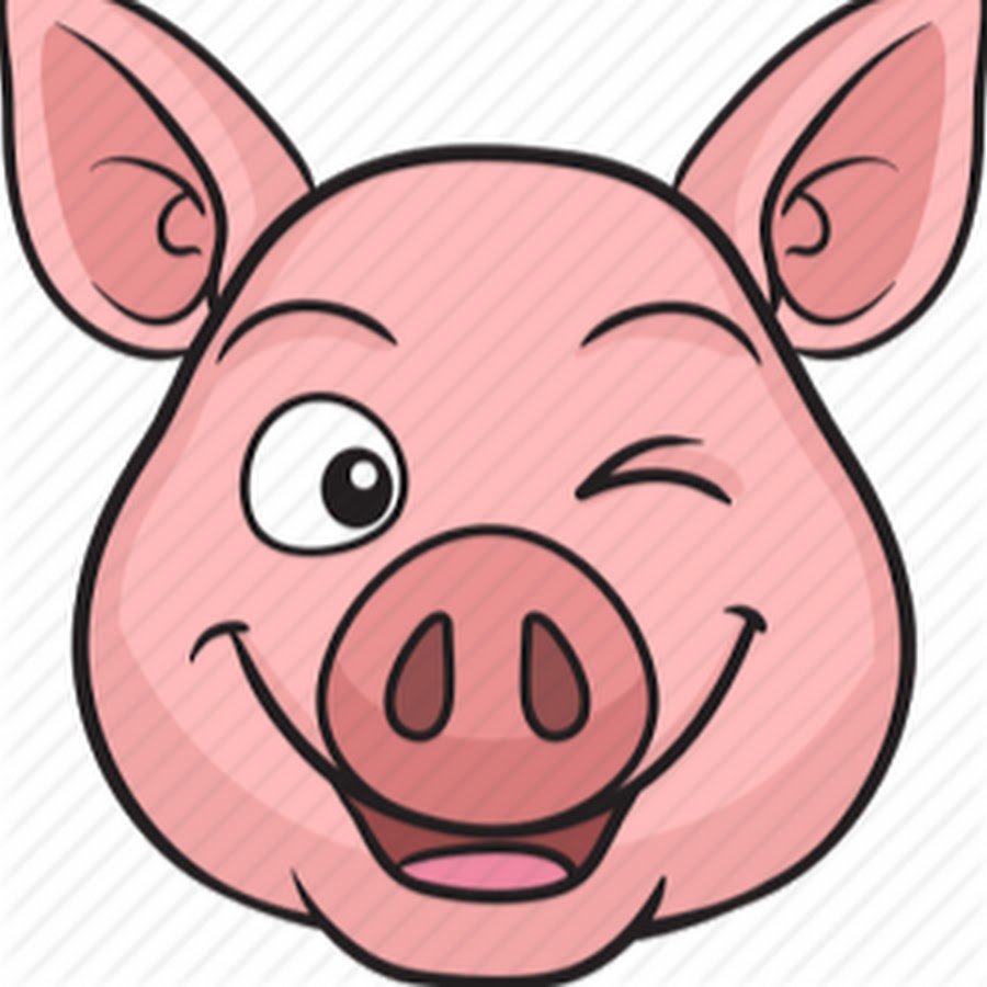 Морда свиньи