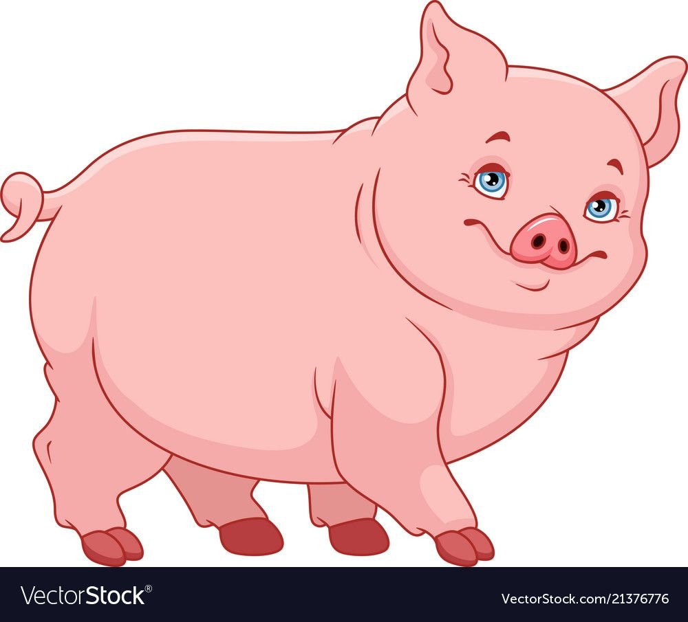 Поросенок упитанный нарисованный