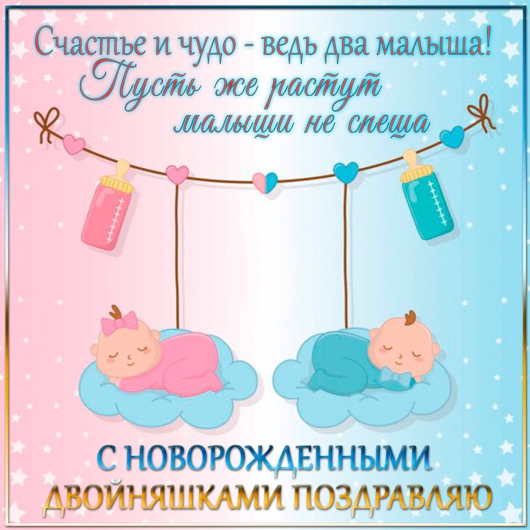 Аист с двойняшками