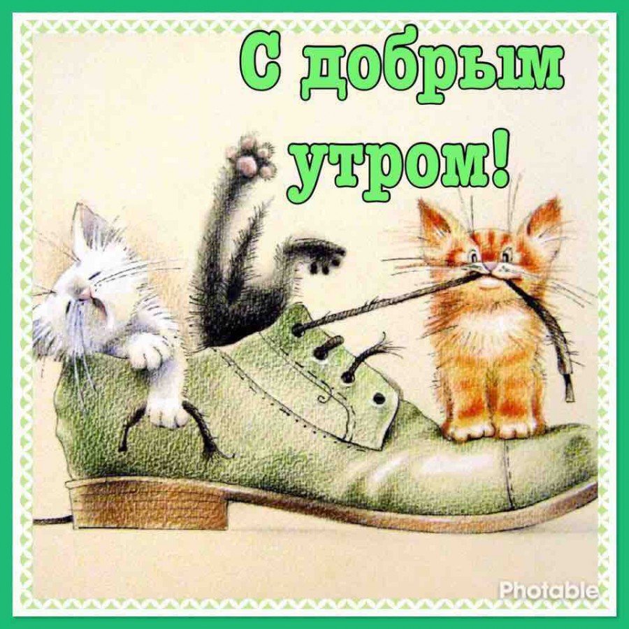 С добрым воскресным утром