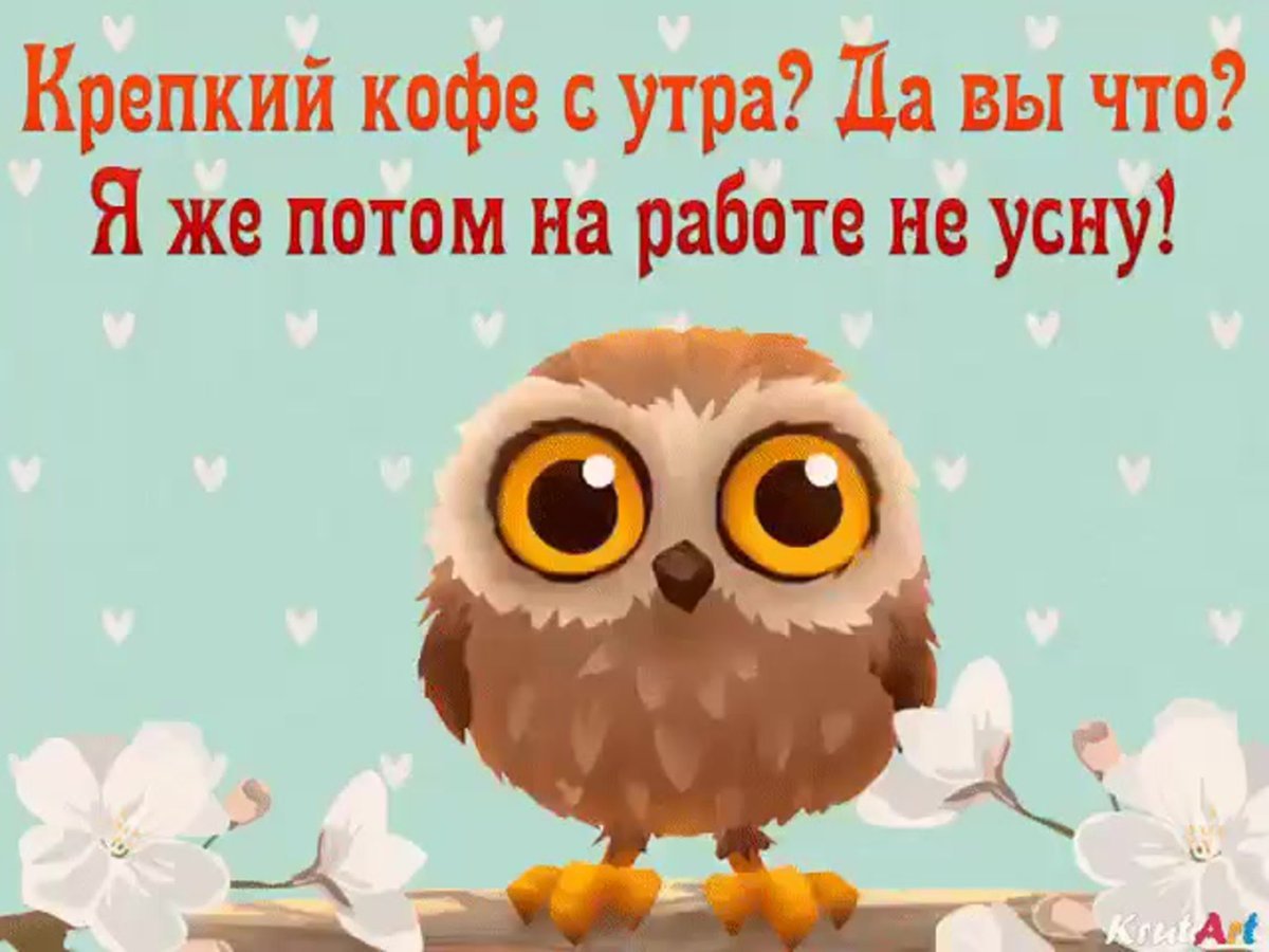 Смешные картинки с добрым утром