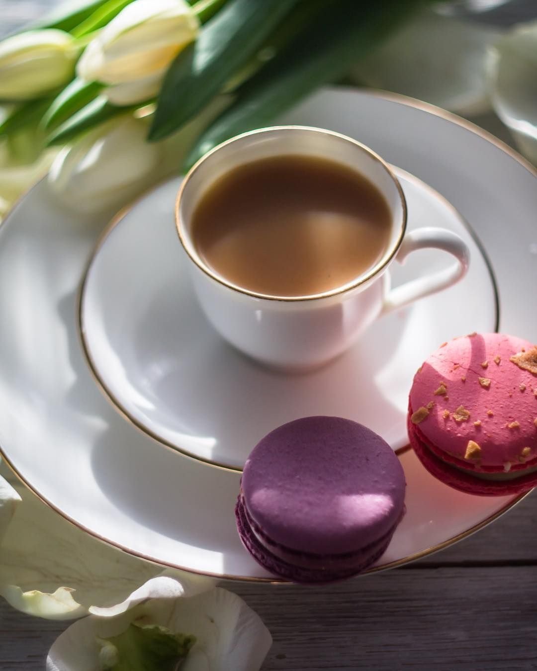 Чашечка чая и цветы