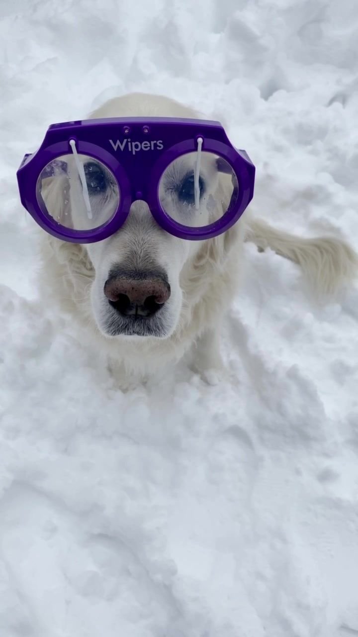 Очки с дворниками фото