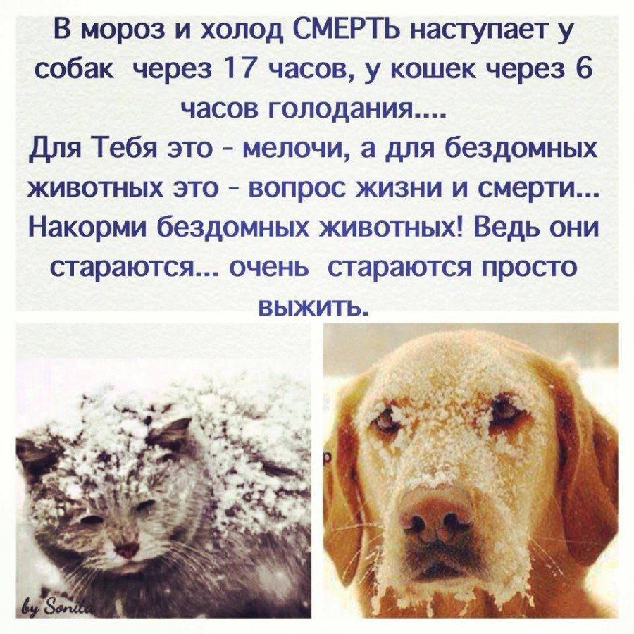 Подозреваю что дело не в шапке