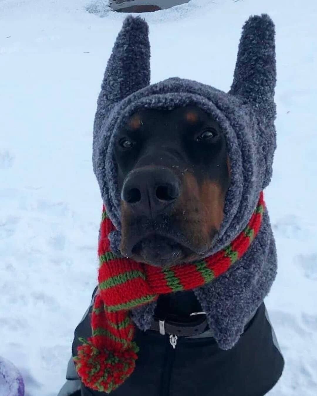 Шутки про холод