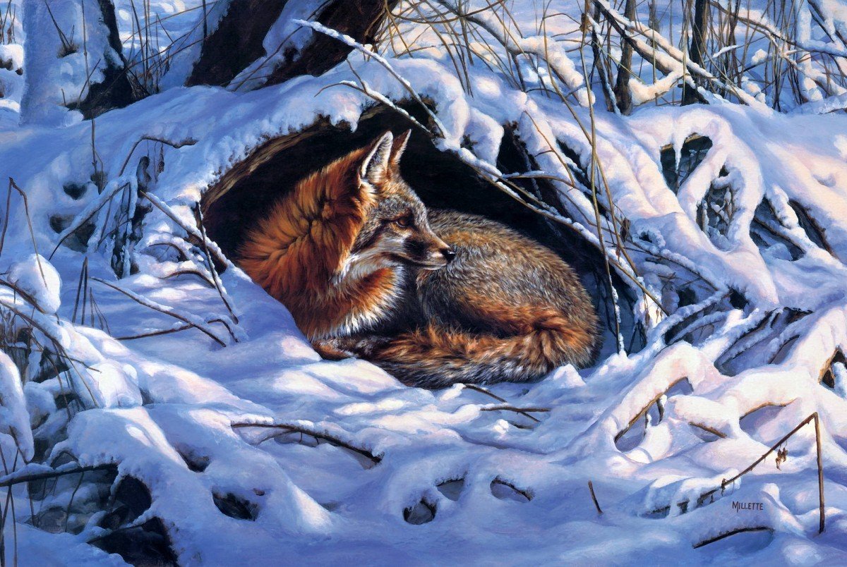 Fox Winter field Painting