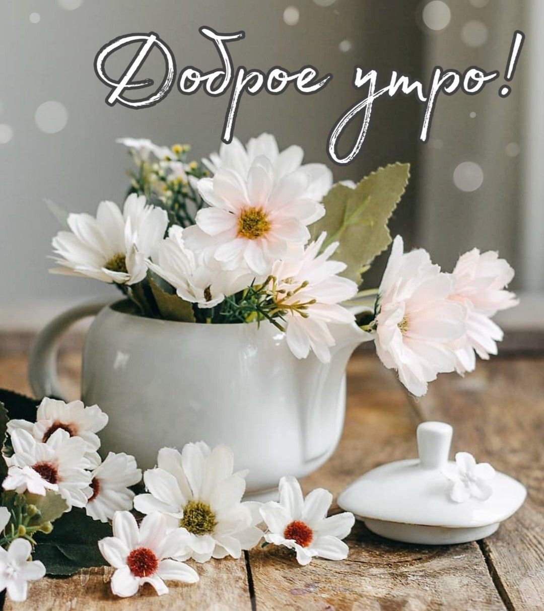 Доброе утро Ольга Сандалова