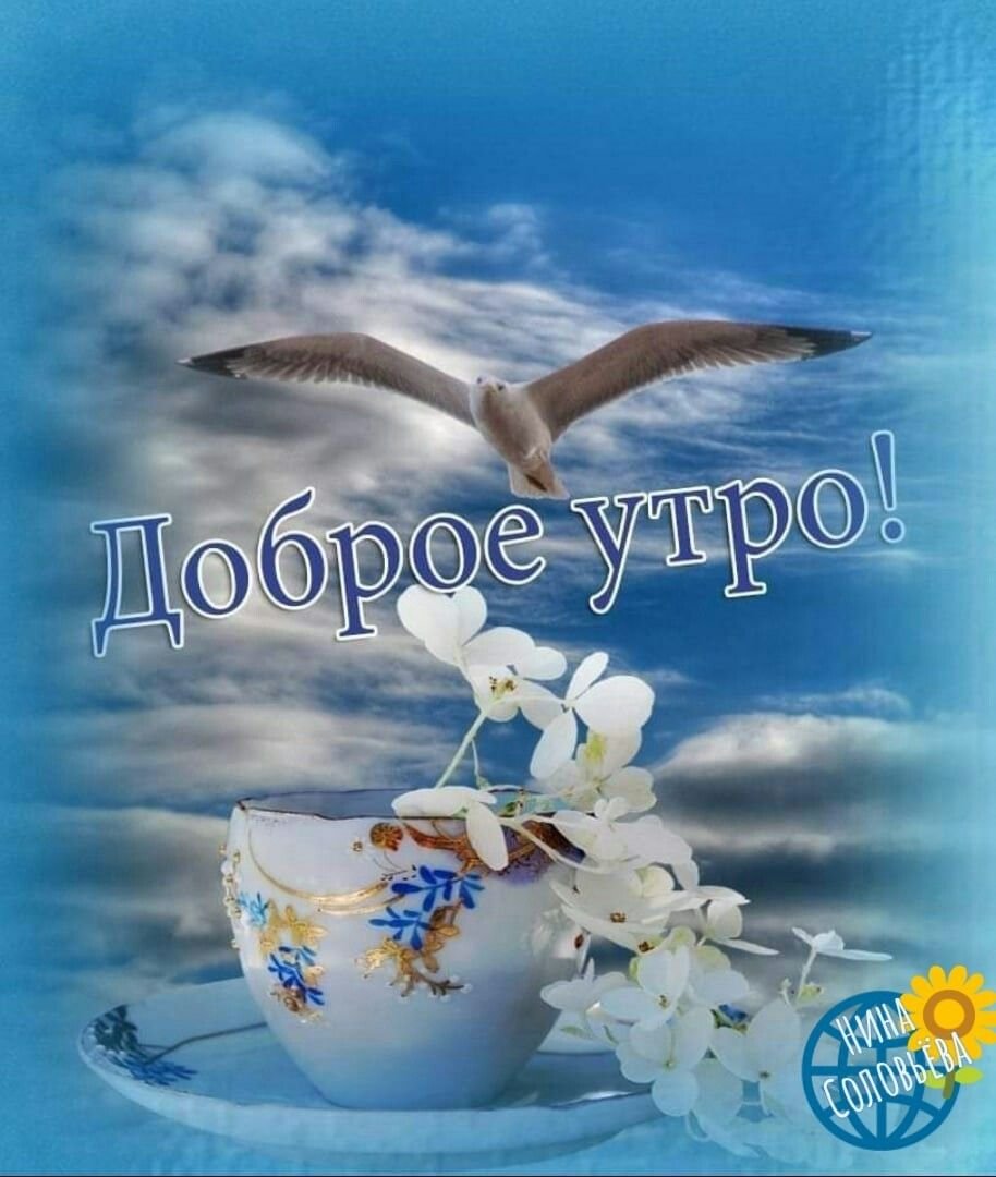 Доброго мирного утра