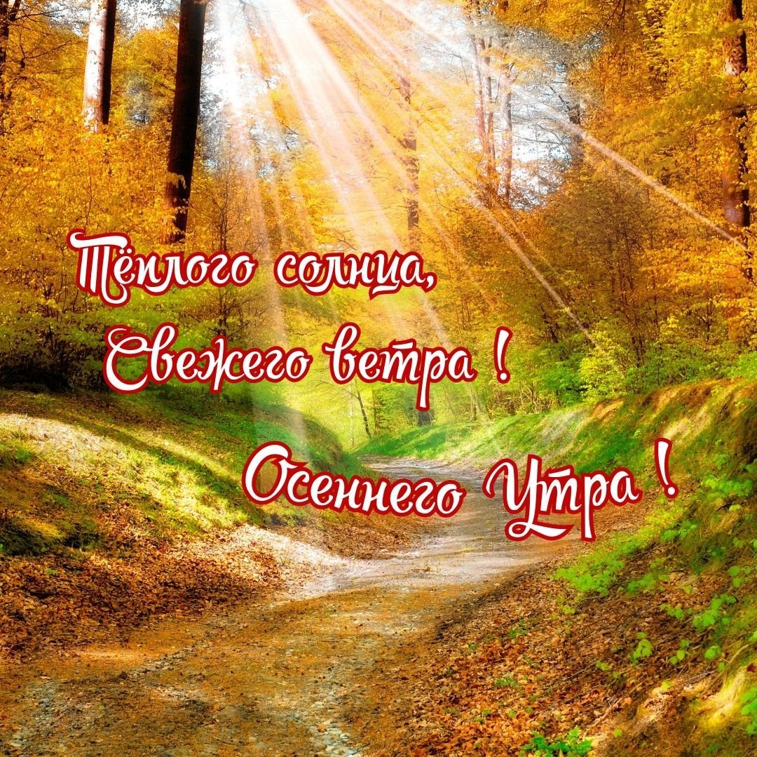 Доброе чудесное осеннее утро