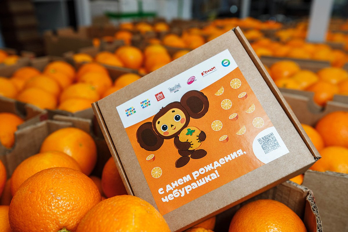 Чебурашка в апельсинах