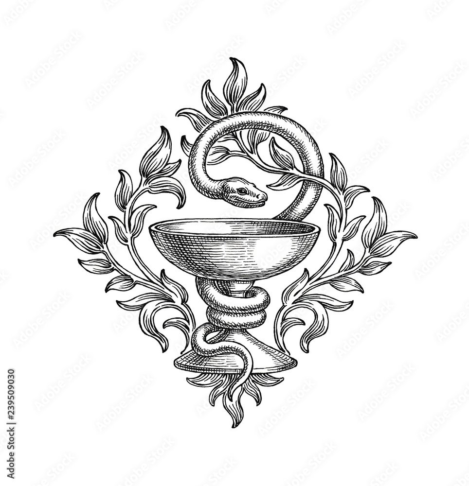 Чаша Гиппократа эскиз