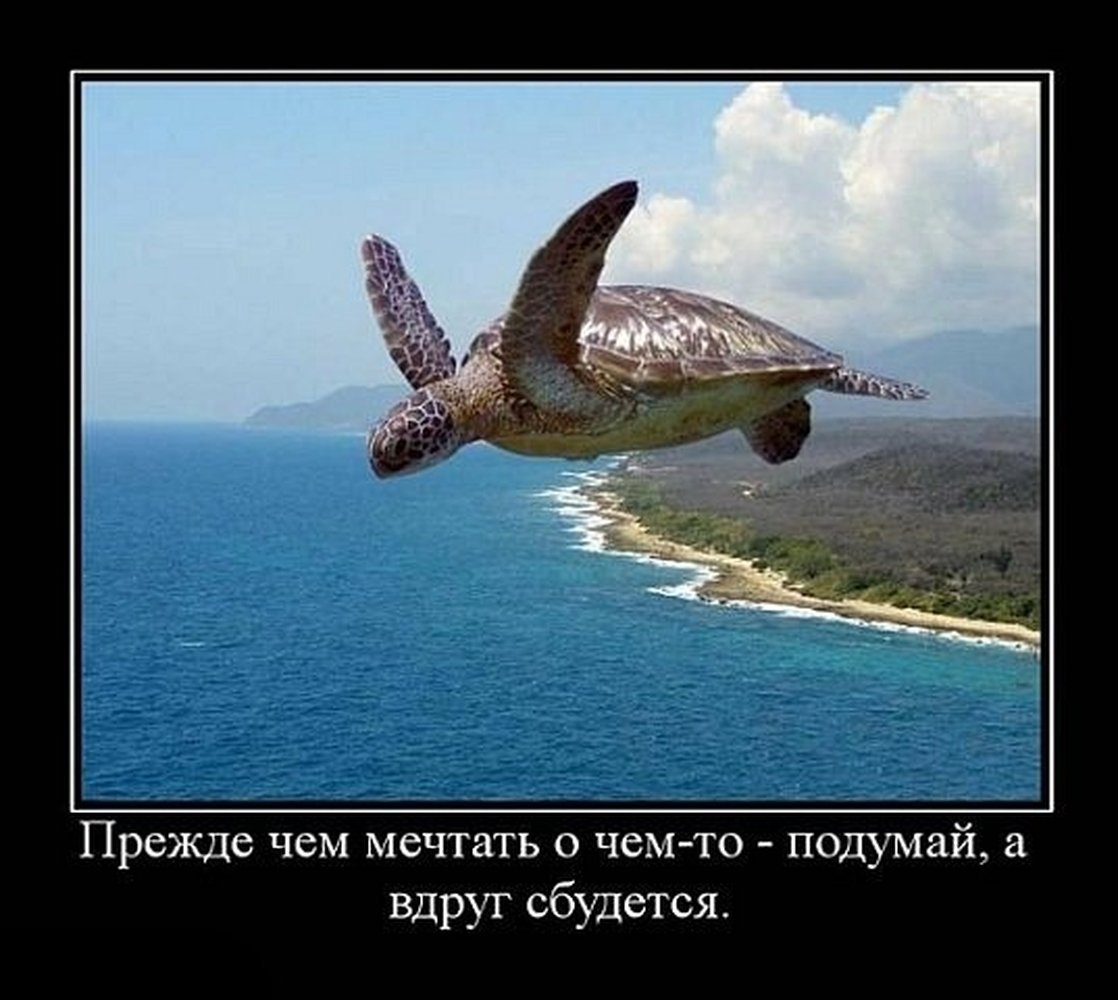 Хорошего полета и мягкой посадки картинки пожелания