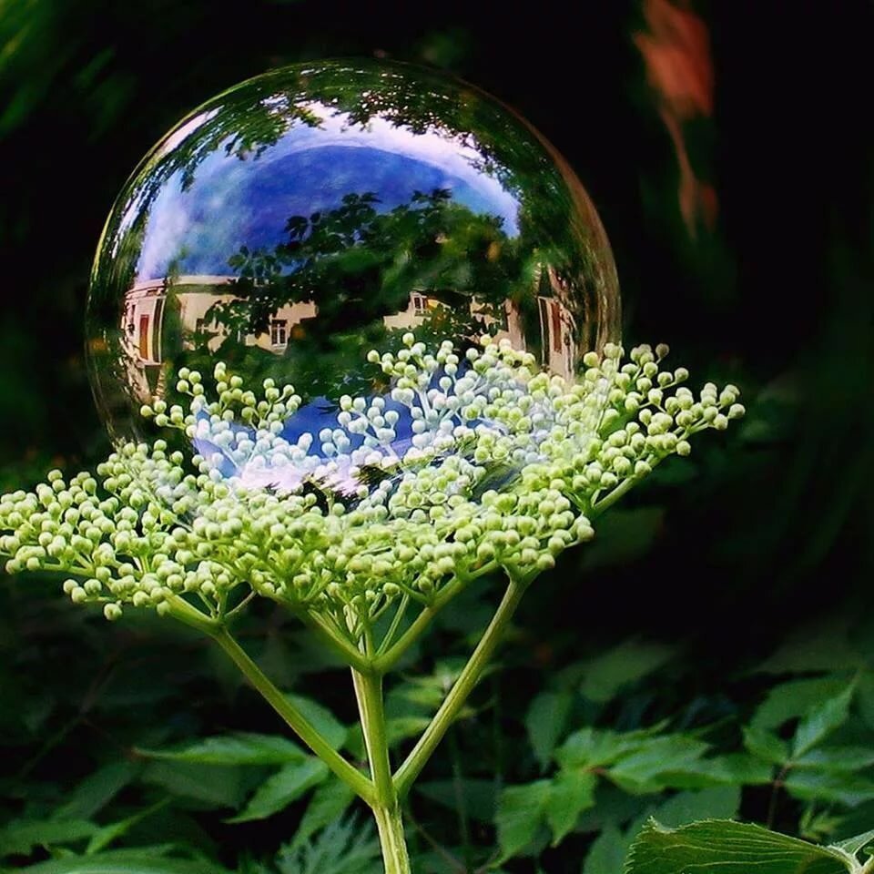 Удачного дня природа