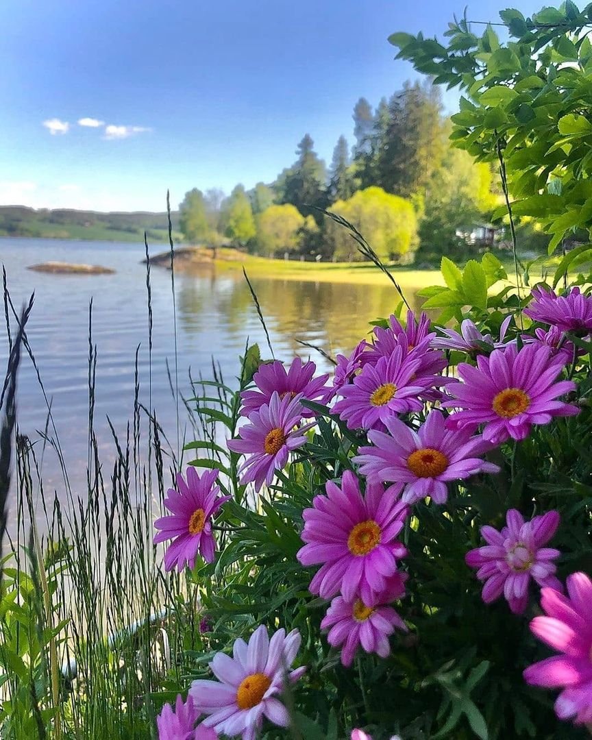 Красивого летнего дня