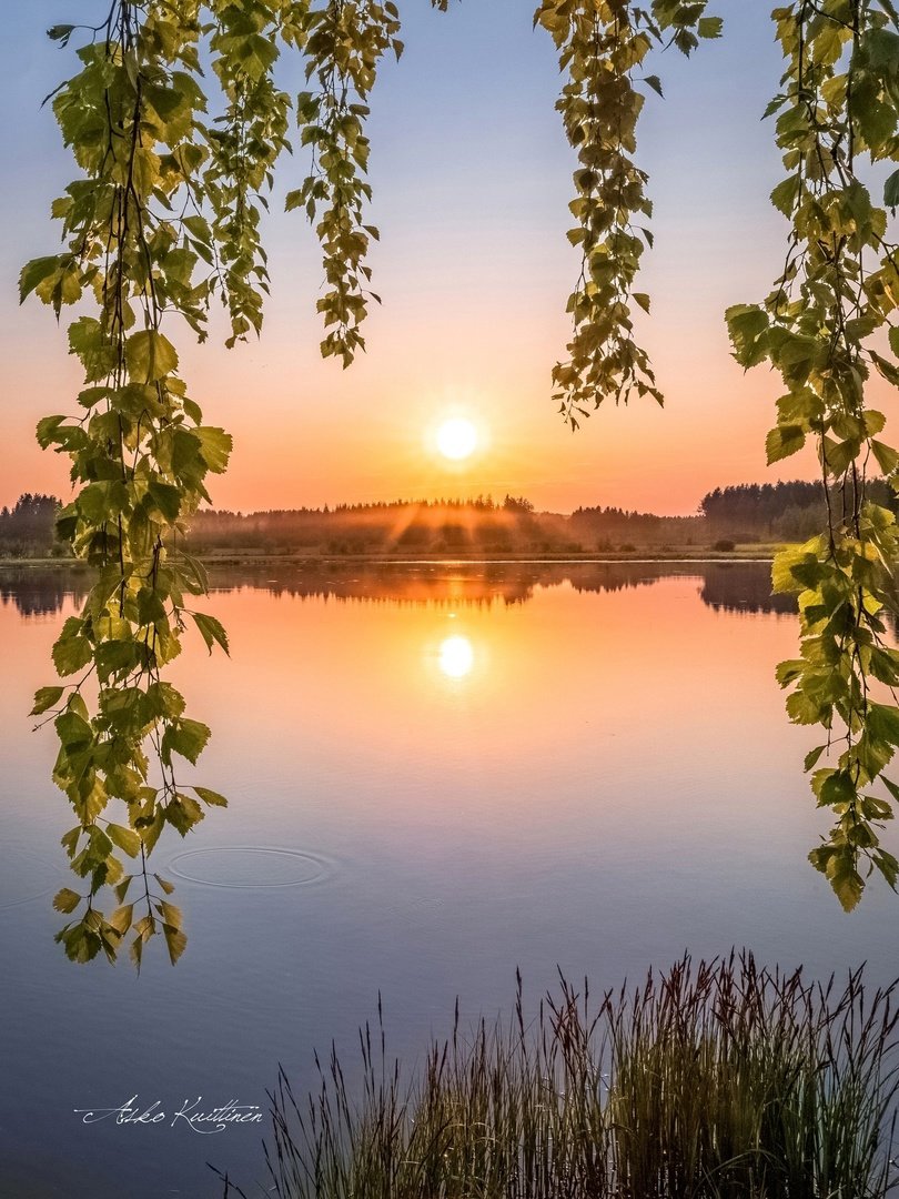 Летний пейзаж