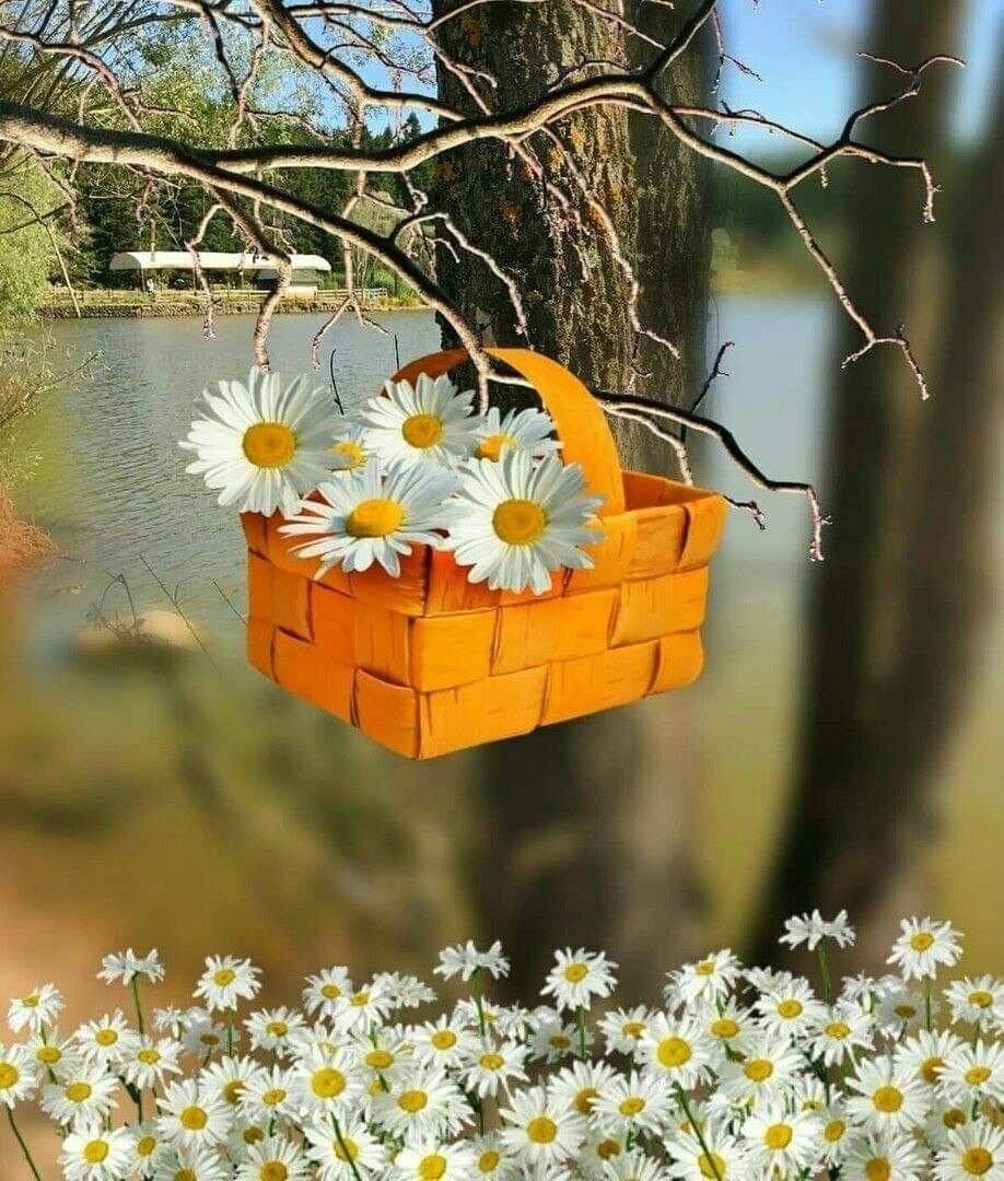 Пожелания с добрым утром с природой