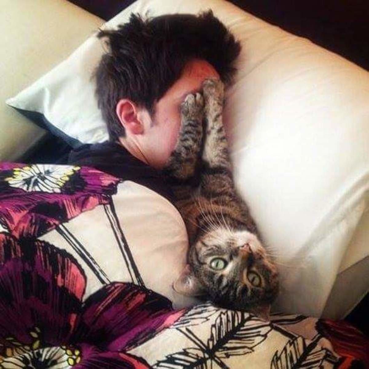 Парень спит с котом