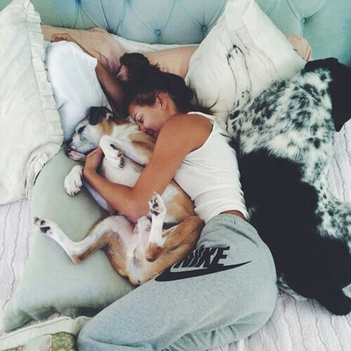 Парень девушка и собака