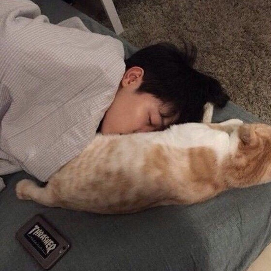 Пак Чимин спит мило