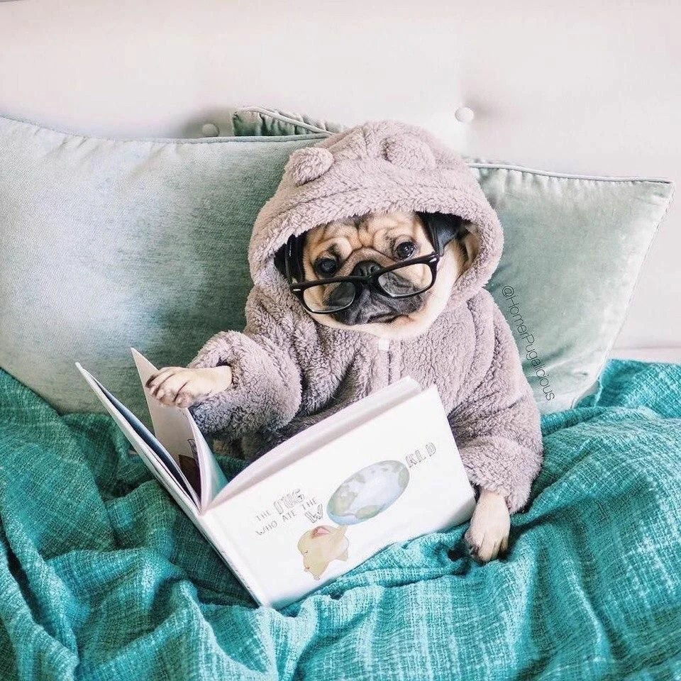 Кот смешно спит