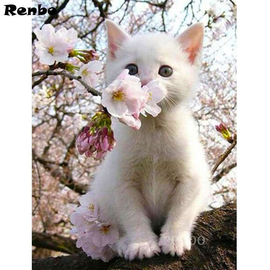 Весенние кошки