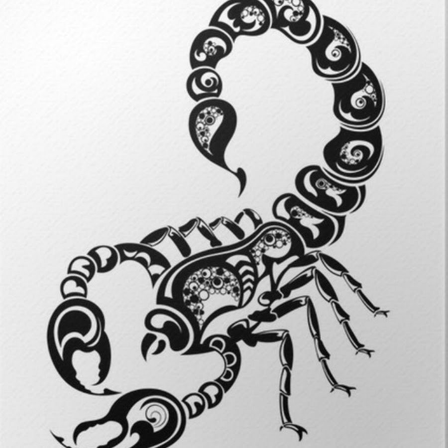 Знак зодиака Скорпион