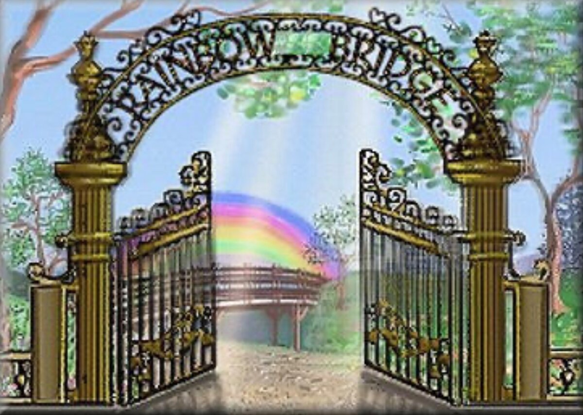 Ворота в сказочный город