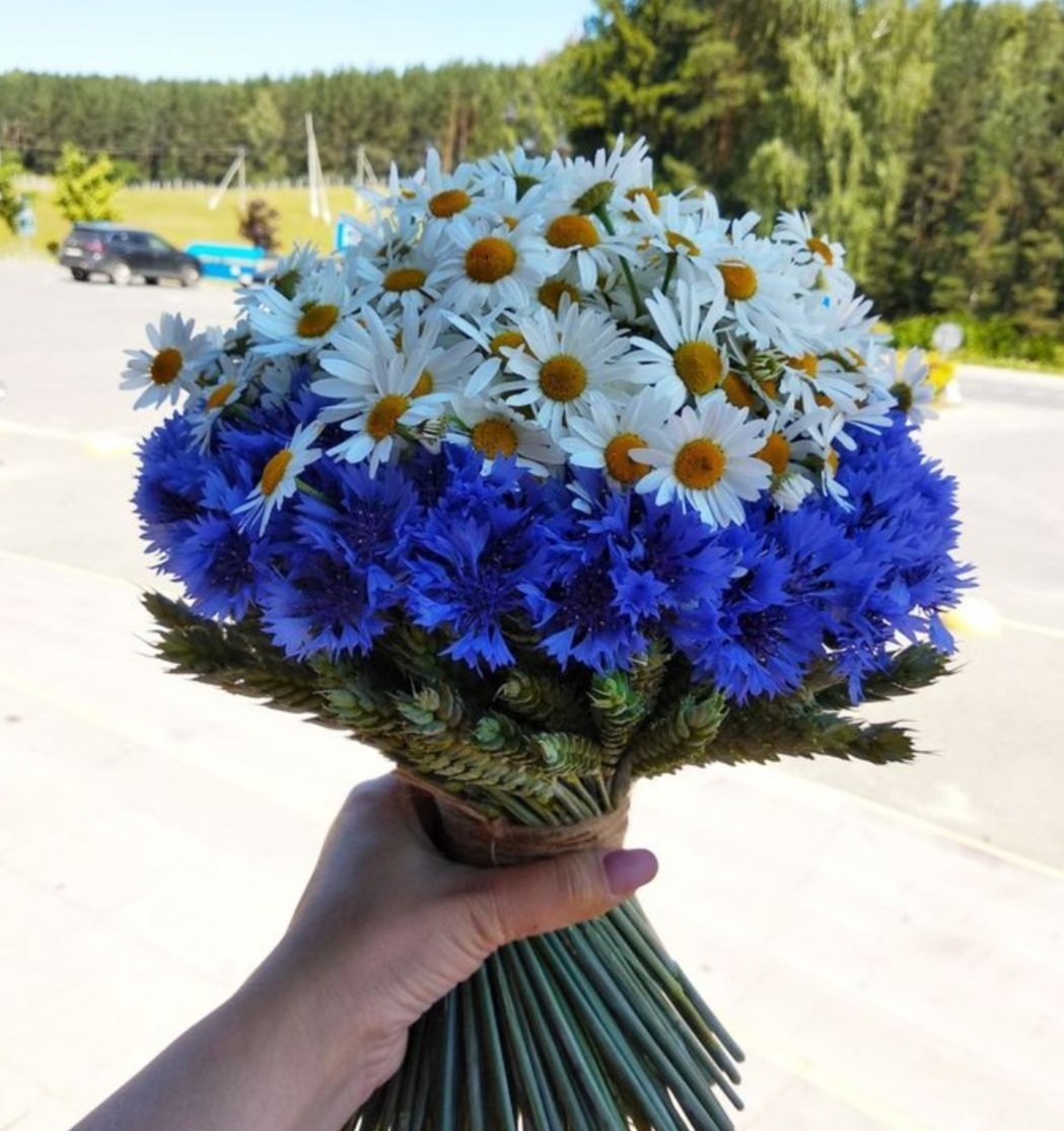 Букет Васильков