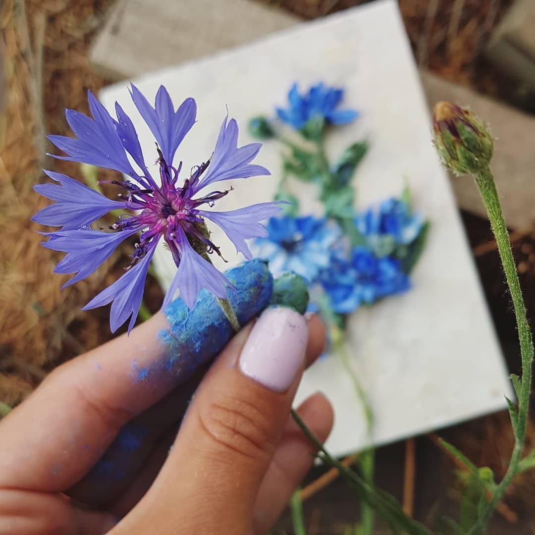 Маленький букетик Васильков