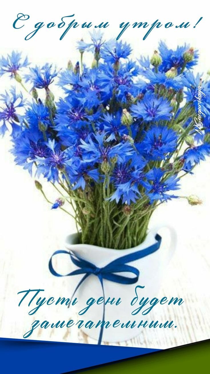 Васильки на деревянном столе