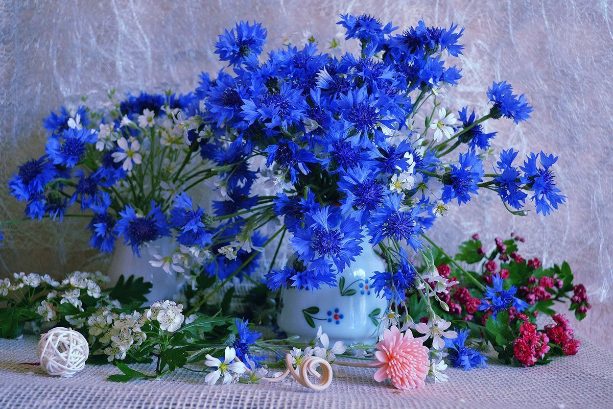 Васильки в руках