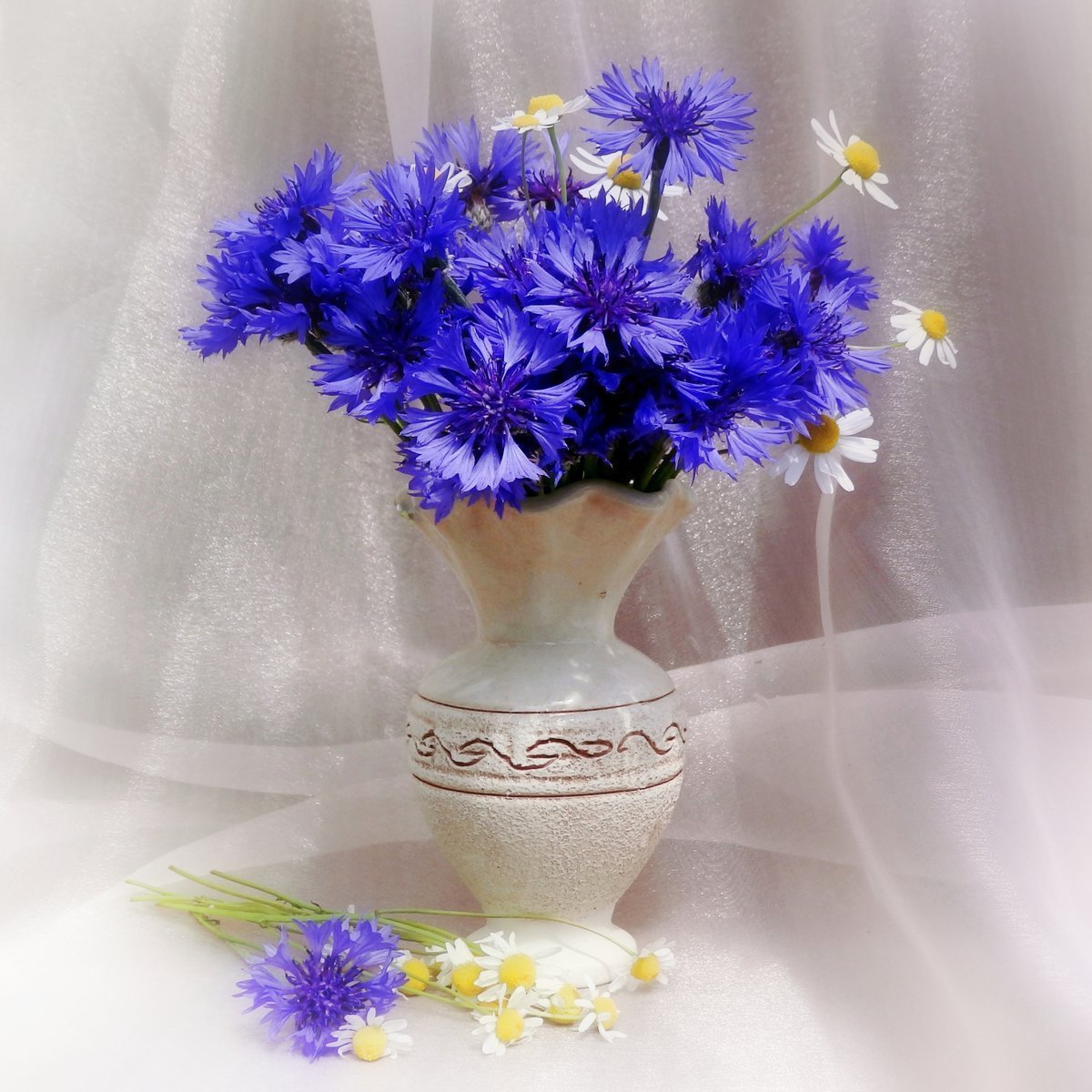 Ханс Эмменеггер букет Васильков