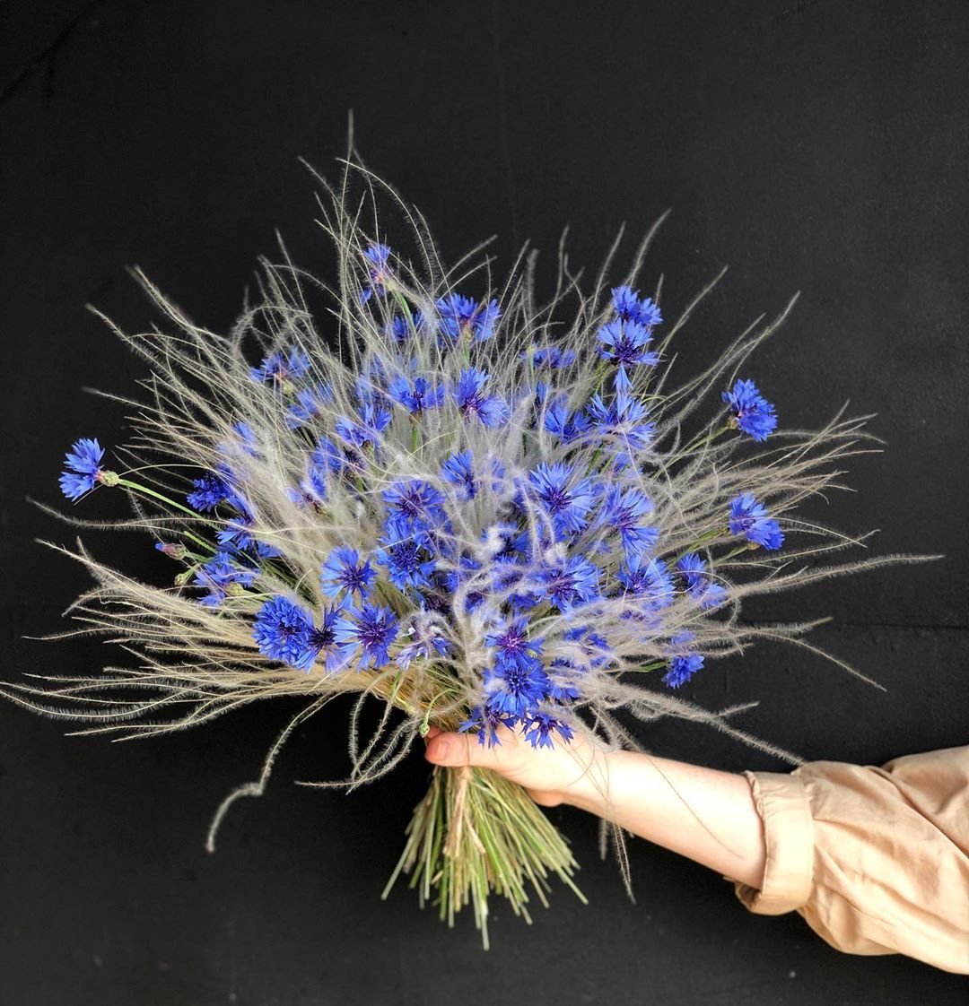 Букет полевых цветов и земляники