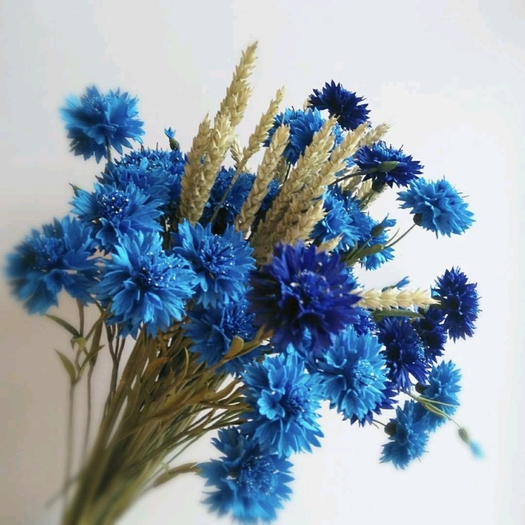 Букет с васильками