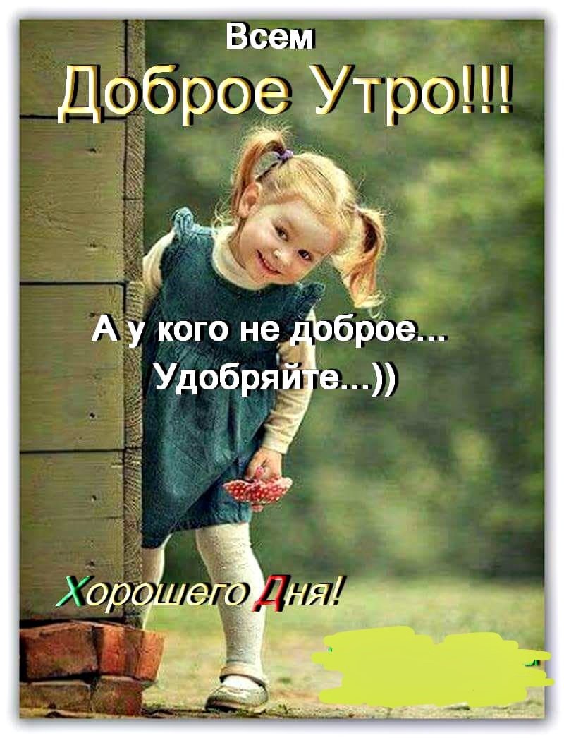 Доброе утро жизнь прекрасна