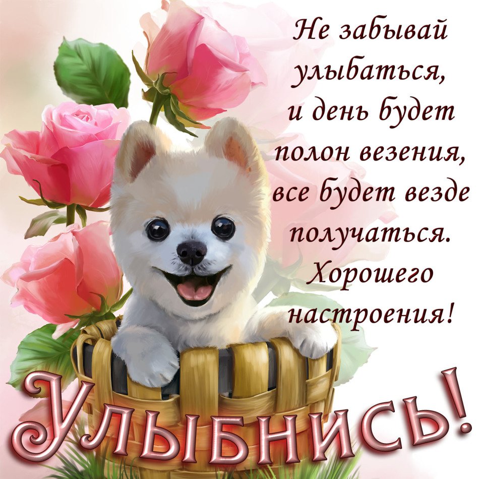 Доброе утро зима