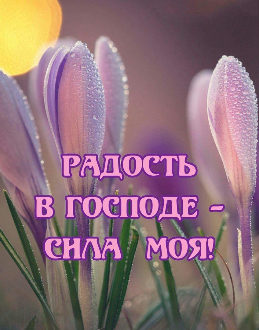 Божьего благословения на день