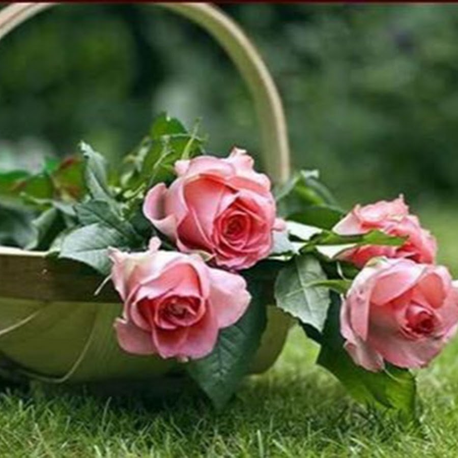 С Божьим благословением в новый день