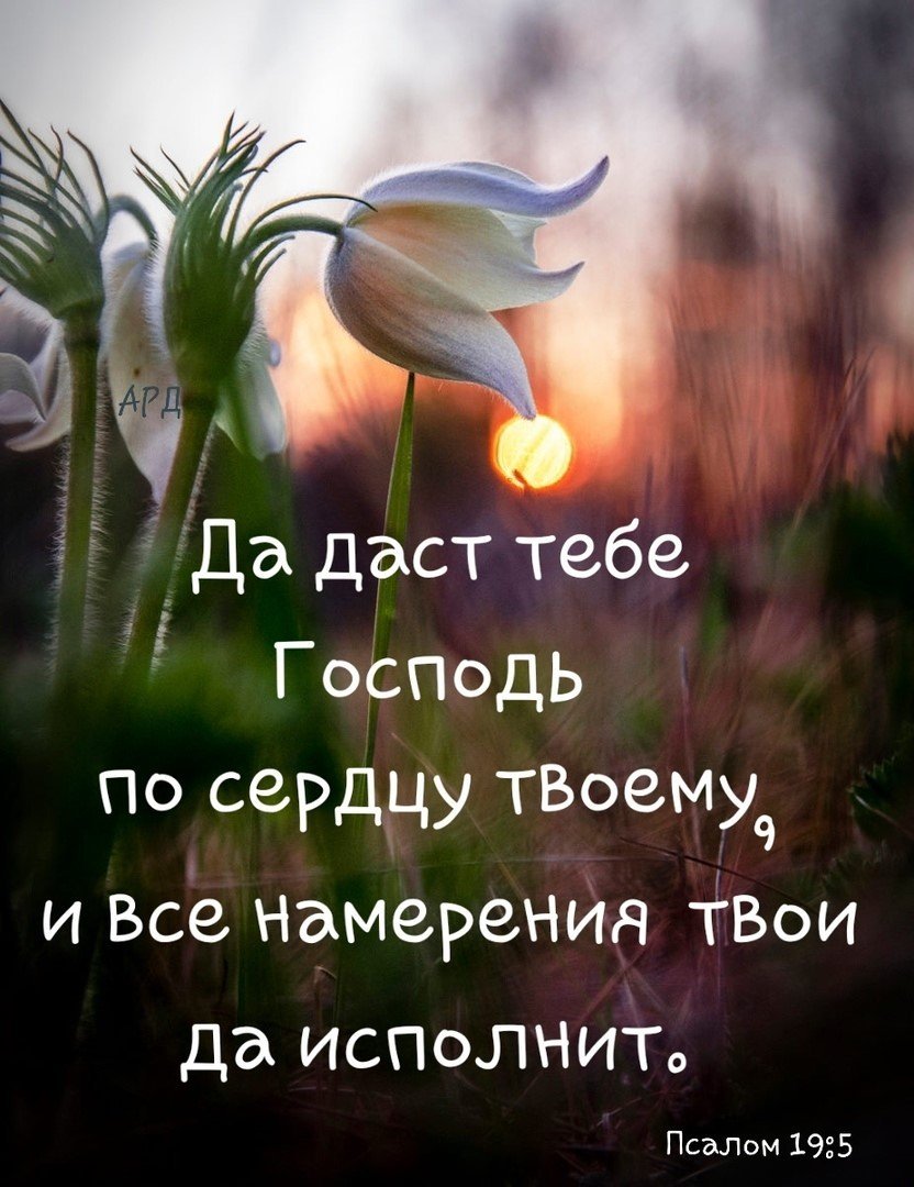 Благословенного дня