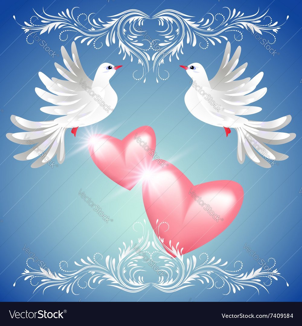 Открытка "голубь"