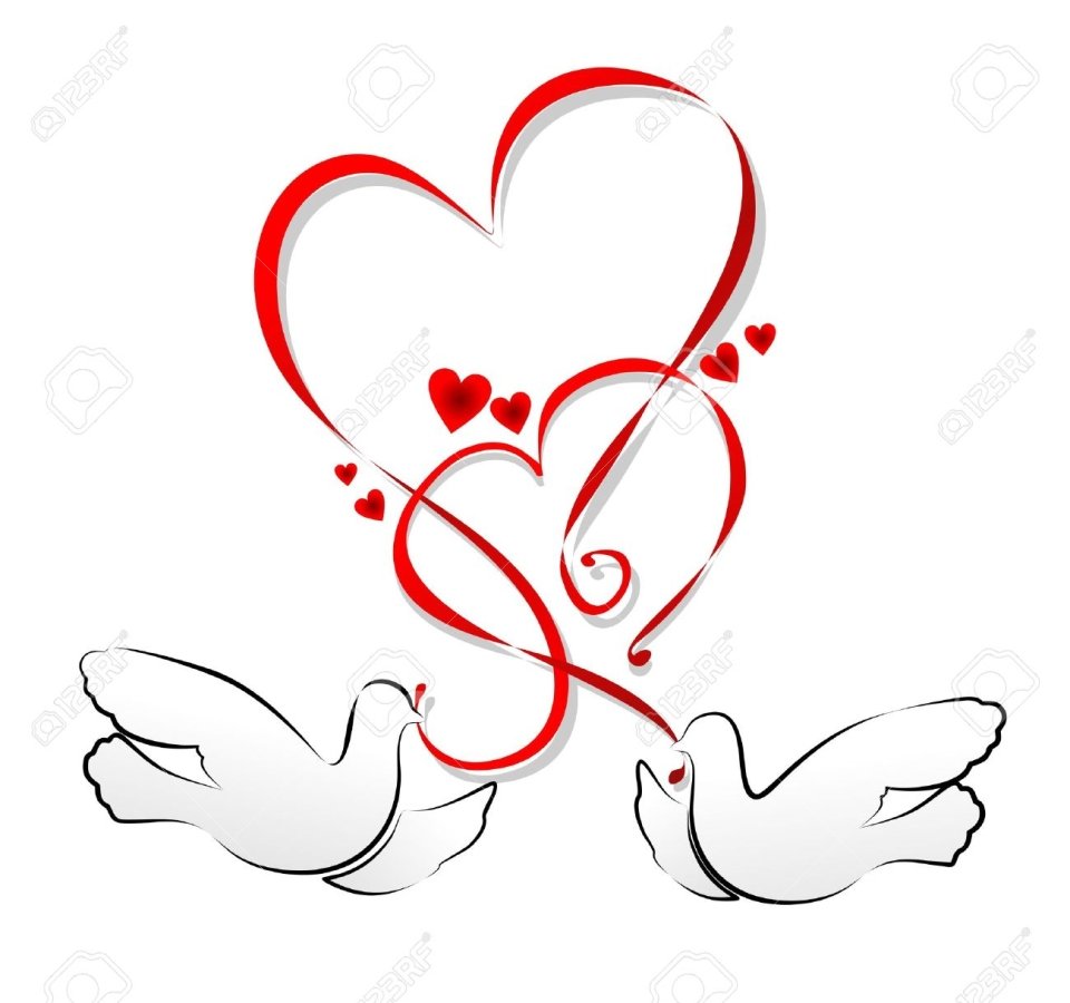 Голубки на свадьбу