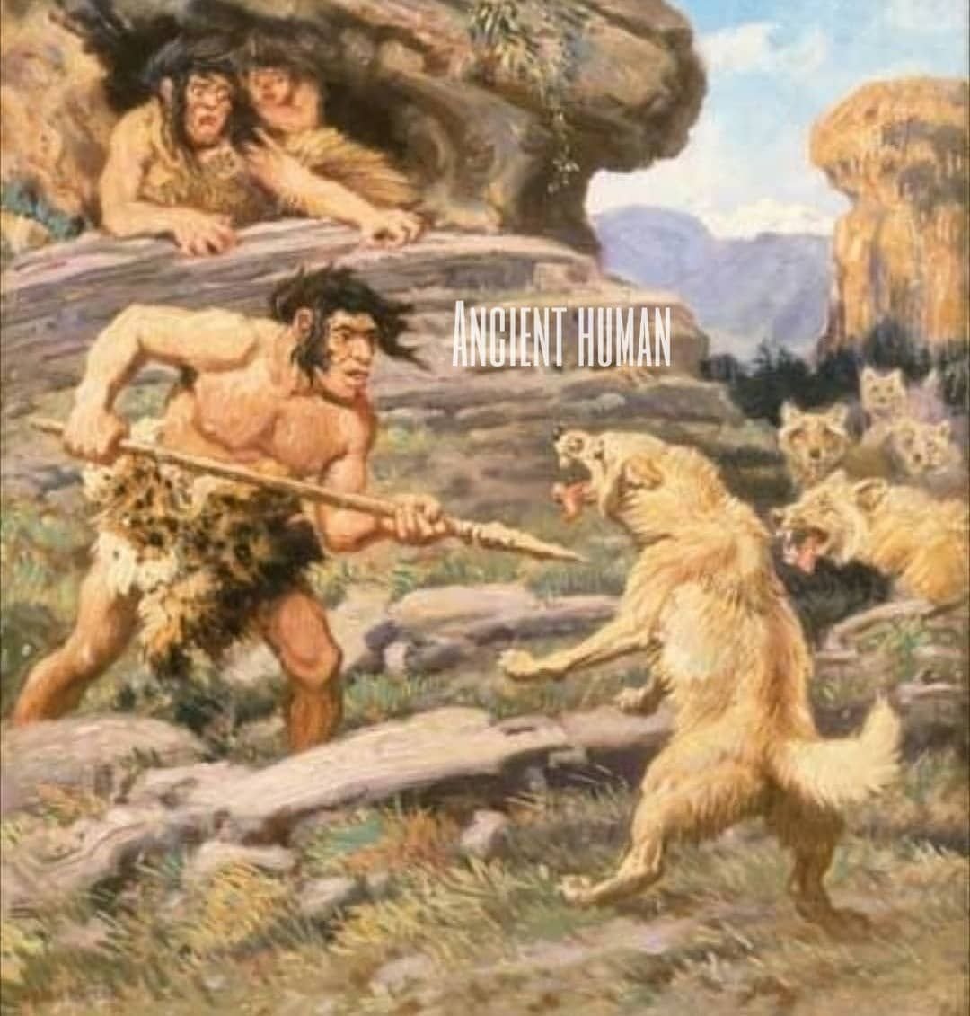 Академия Сетон неандерталец