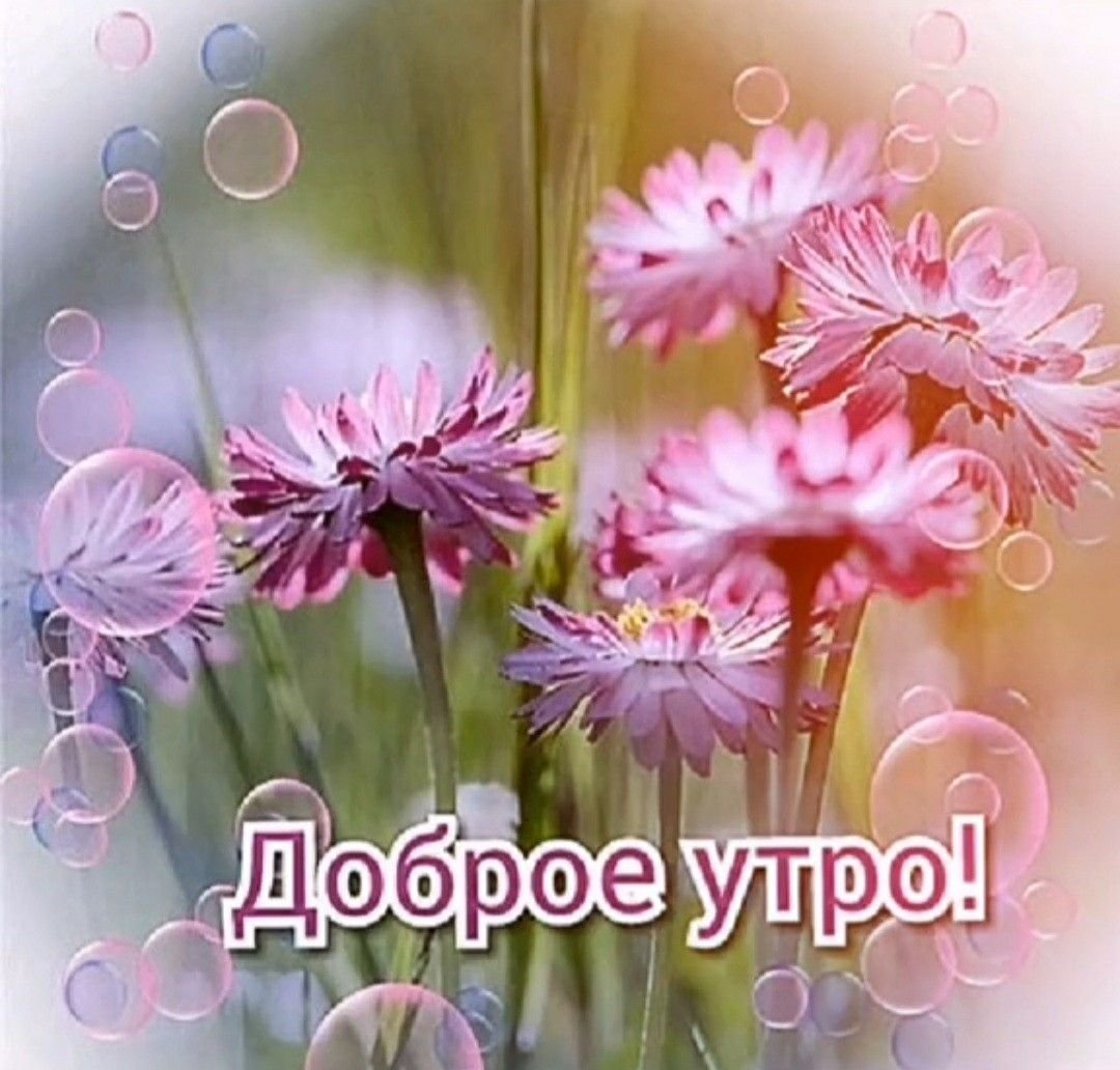 Открытки с добрым дождливым утром