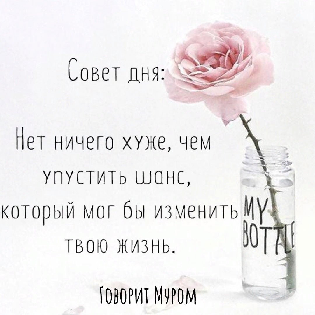 Афоризмы советы дня