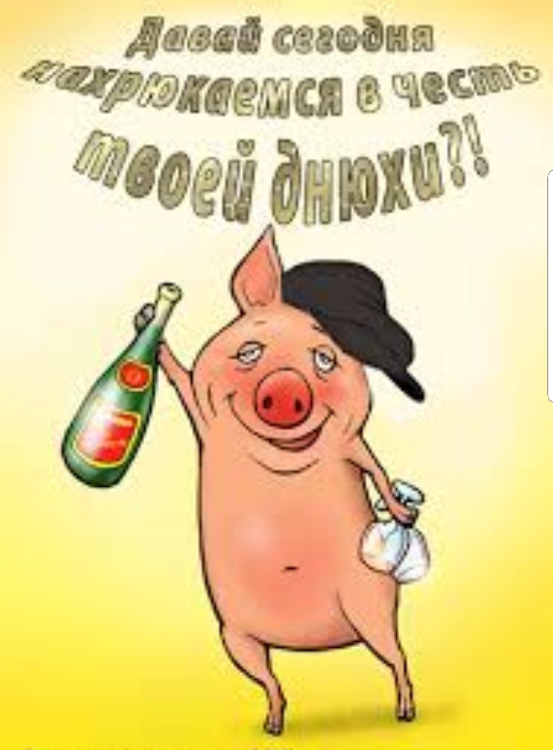 Серёга с днём рождения